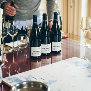 Vinos del nuevo mundo