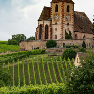Vinos del viejo mundo I: Francia